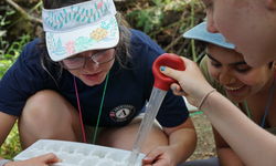 Hobbs Bi Lingual Peer Mentor