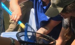 Trowbridge Newsletter Fall 2018