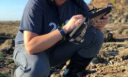 Pace Newsletter November 2018 Gip 2