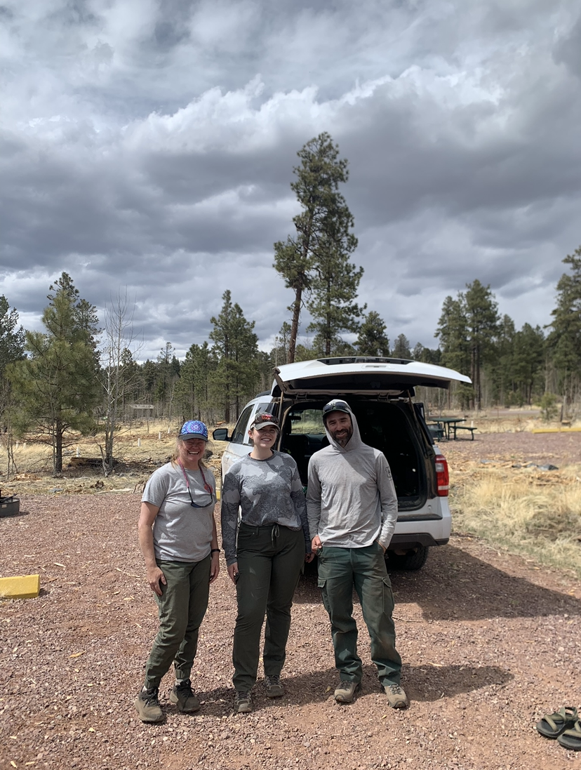 SWWhitePine_Planting_project-_Apache-SirgreavesNF.PNG#asset:2297
