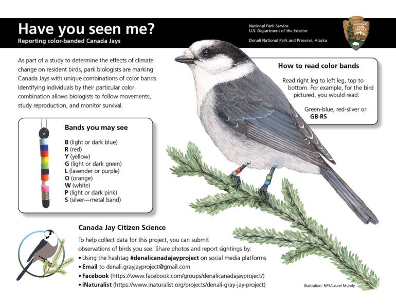GIP_Laurel-Mundy_CAJay-Flyer_Newsletter_04-2019.jpg#asset:903:newsFull